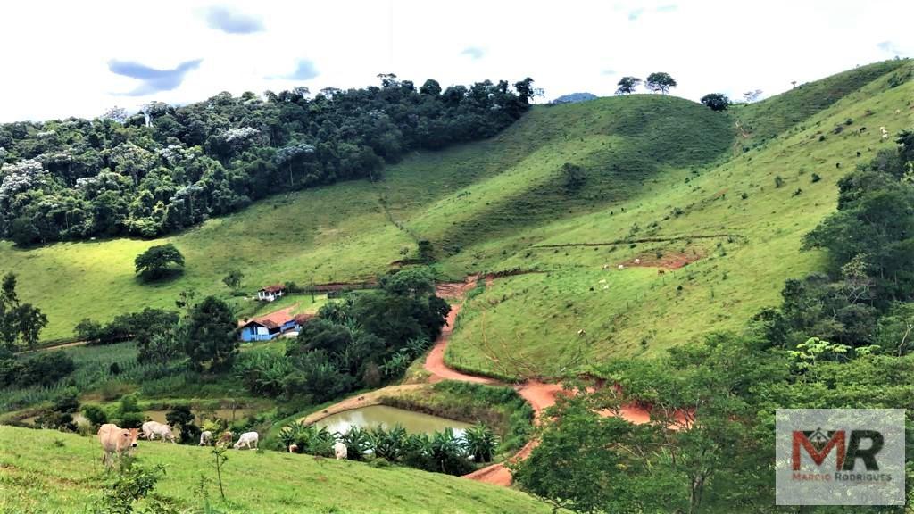 Fazenda de 134 ha em Espírito Santo do Dourado, MG