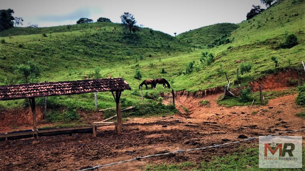 Fazenda de 134 ha em Espírito Santo do Dourado, MG