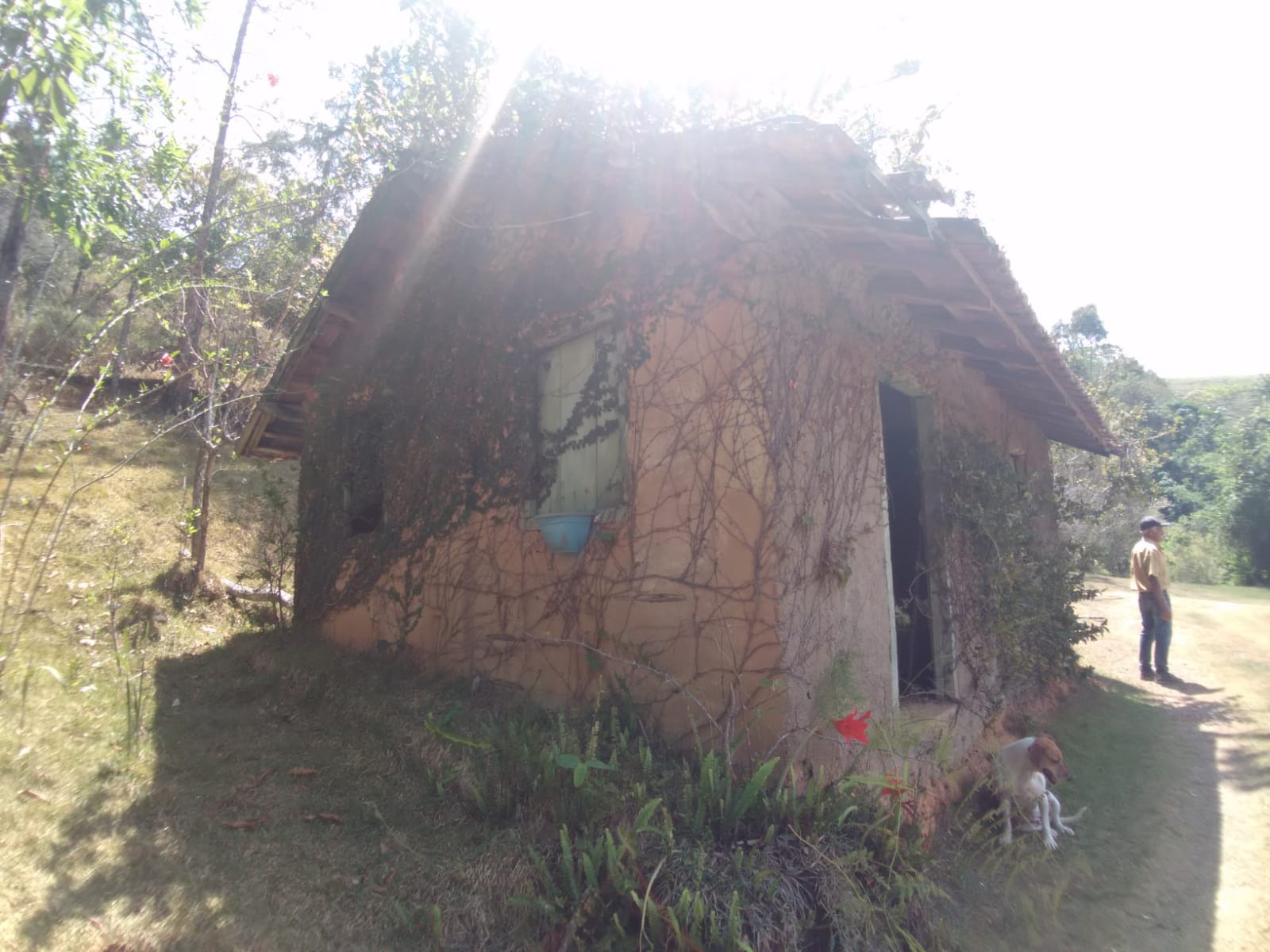 Sítio de 12 ha em São Luiz do Paraitinga, SP