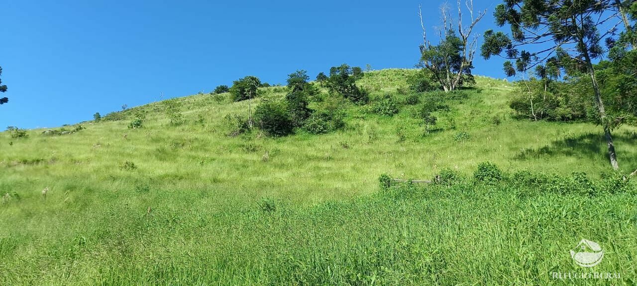 Sítio de 34 ha em São José dos Campos, SP