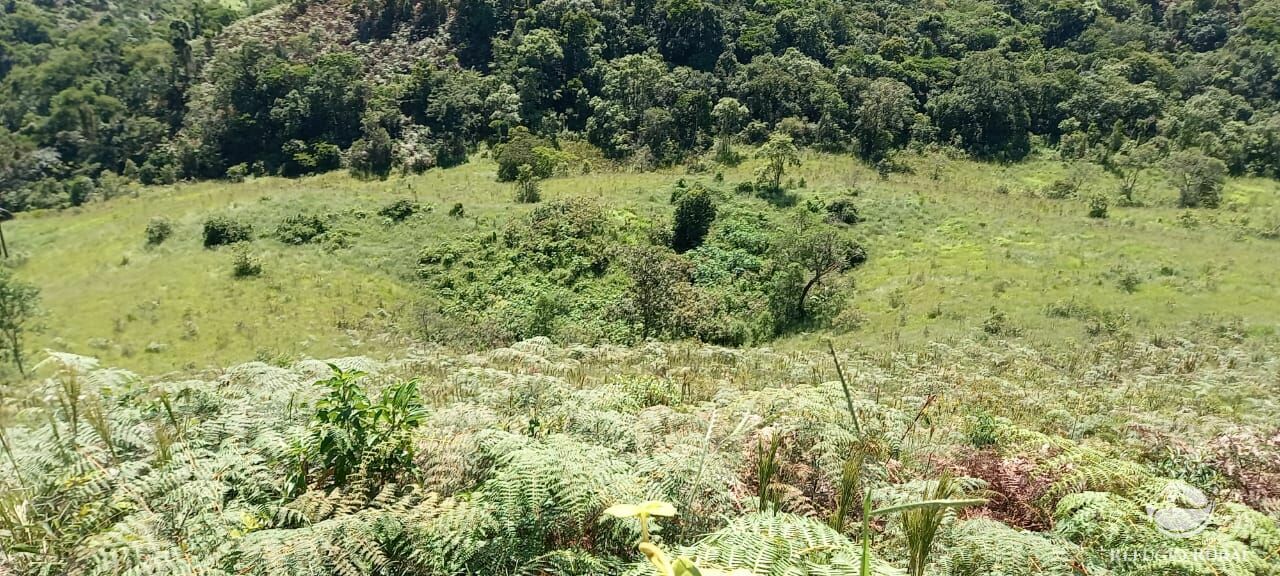 Sítio de 34 ha em São José dos Campos, SP