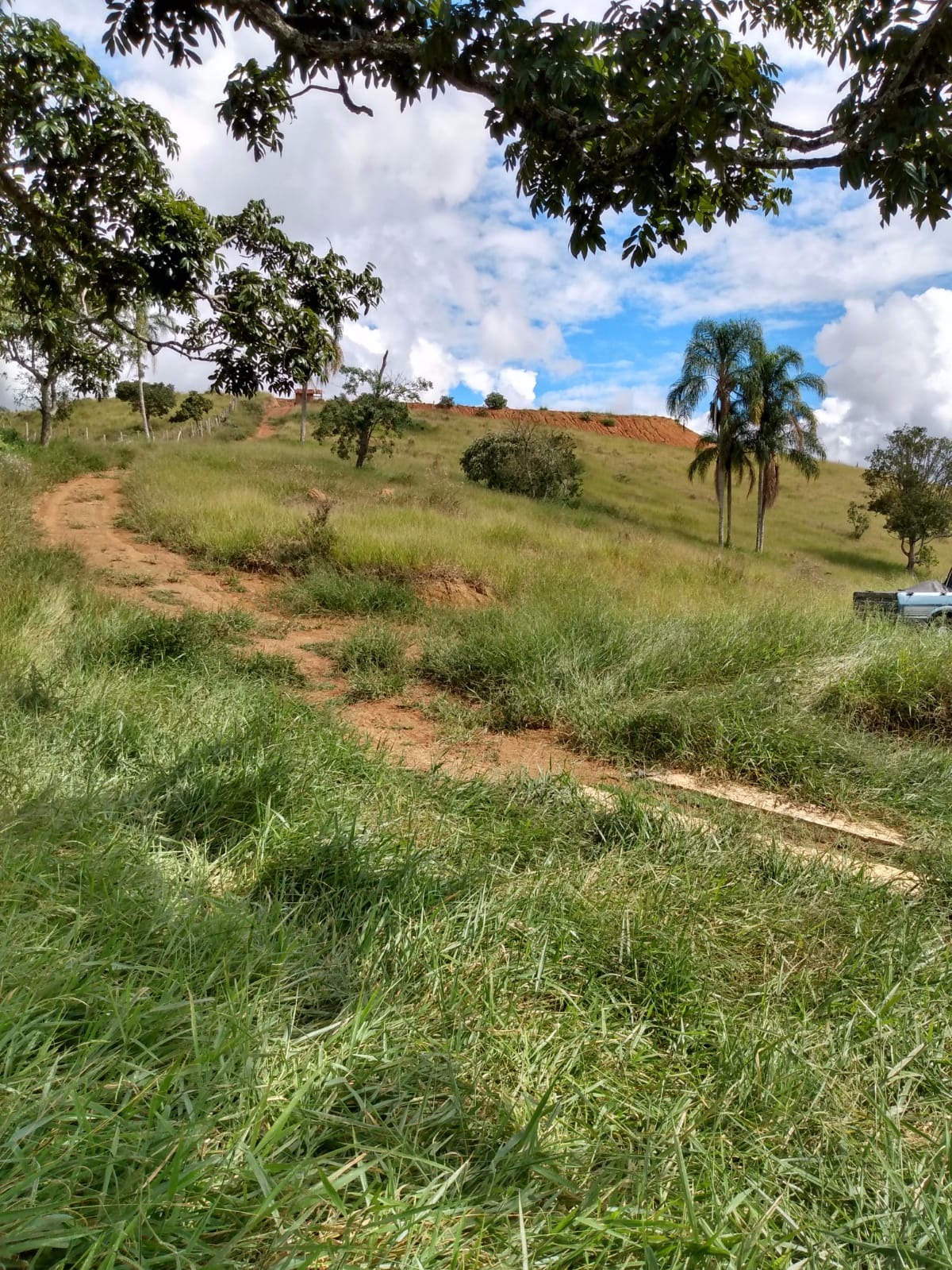 Terreno de 1 ha em São José dos Campos, SP