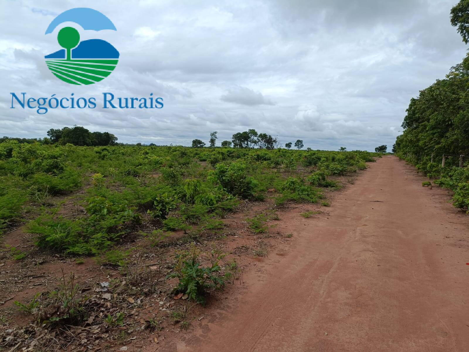 Fazenda de 629 ha em Jaú do Tocantins, TO