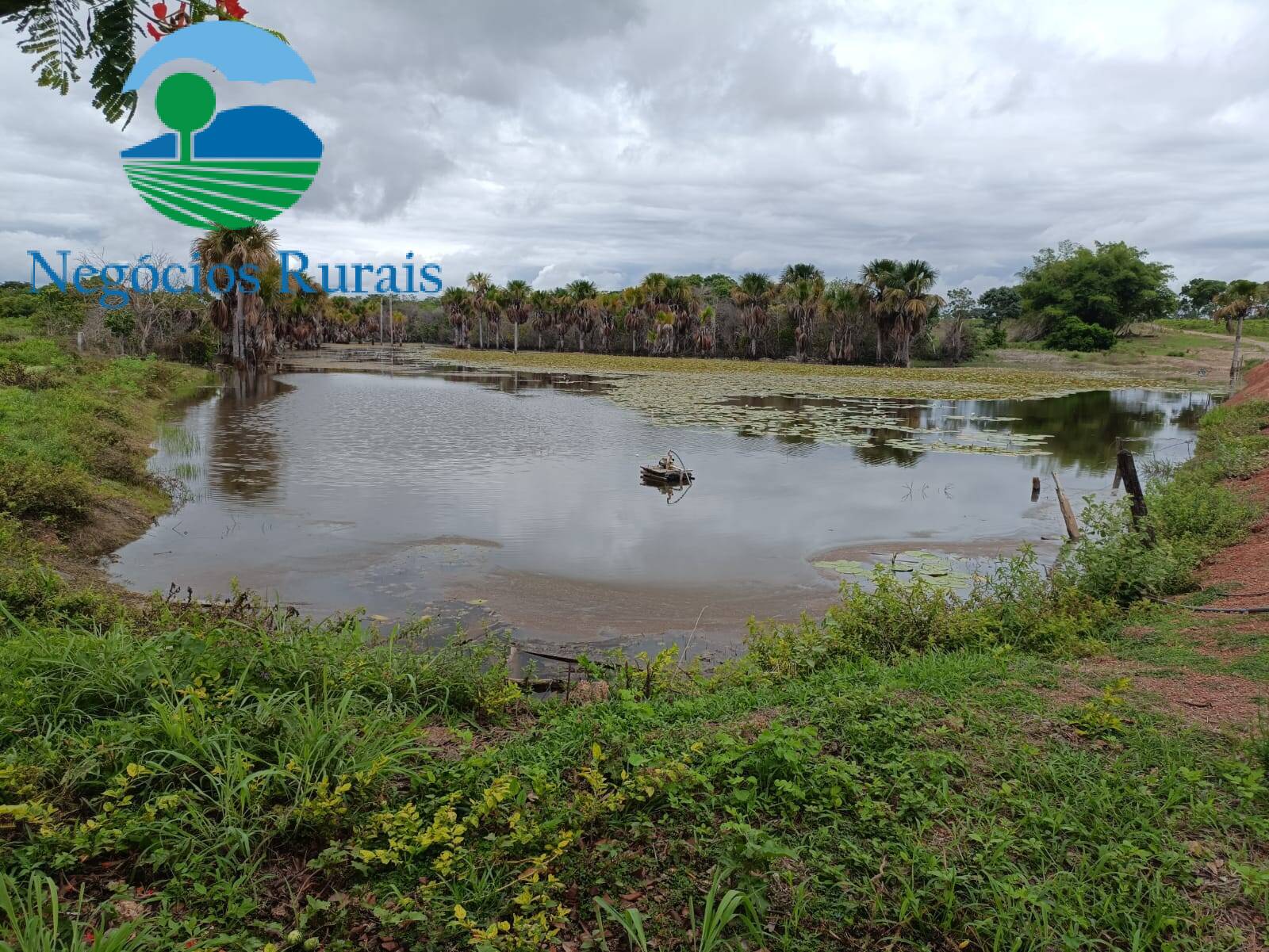 Fazenda de 629 ha em Jaú do Tocantins, TO