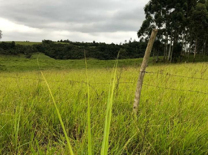 Sítio de 2 ha em Santo Antônio da Patrulha, RS