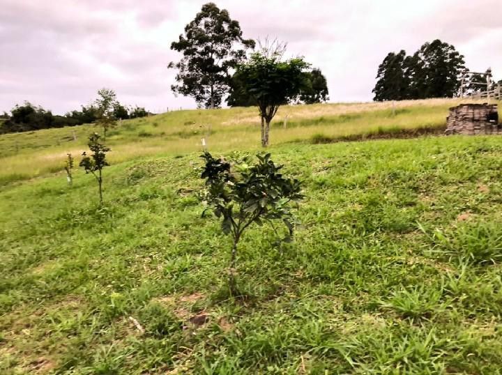 Sítio de 2 ha em Santo Antônio da Patrulha, RS