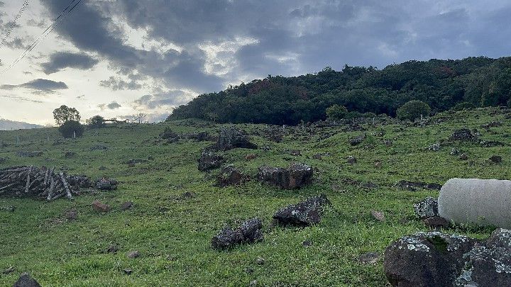 Chácara de 3 ha em Santo Antônio da Patrulha, RS