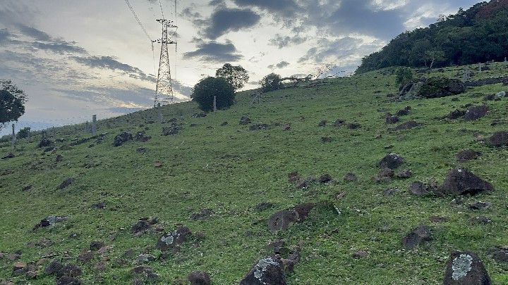 Chácara de 3 ha em Santo Antônio da Patrulha, RS