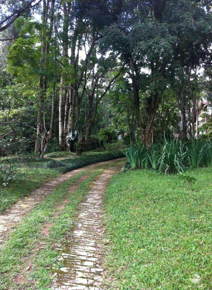 Sítio de 45 ha em Santo Antônio do Pinhal, SP