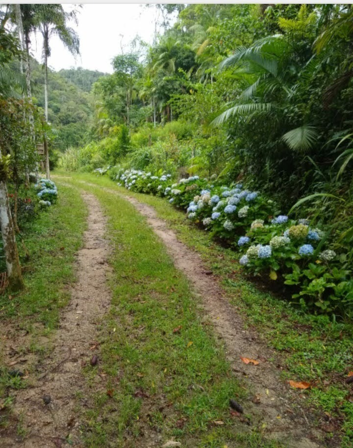 Chácara de 8.000 m² em Paraibuna, SP