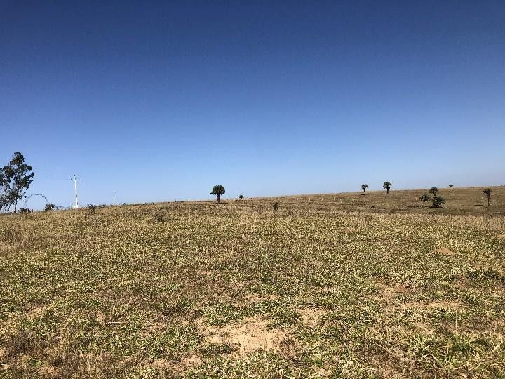 Sítio de 3 ha em Santo Antônio da Patrulha, RS