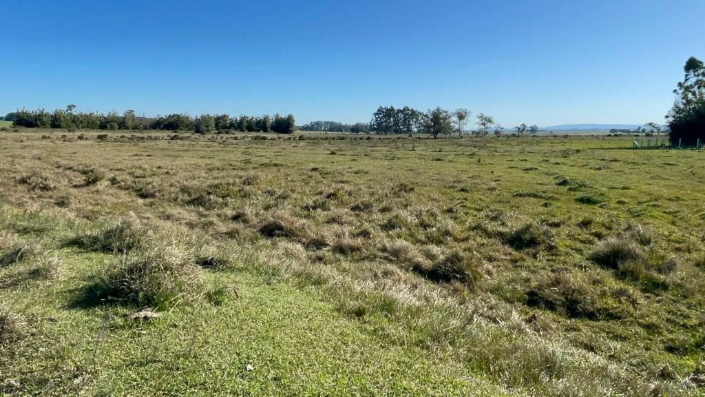 Sítio de 3 ha em Santo Antônio da Patrulha, RS