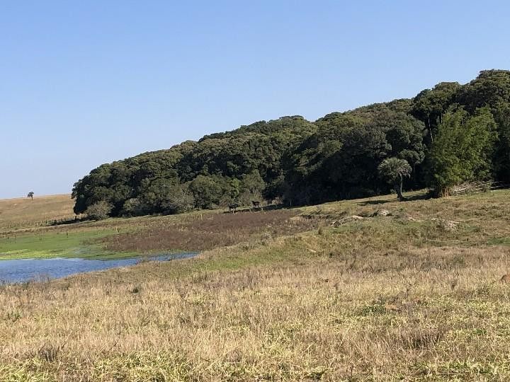 Sítio de 3 ha em Santo Antônio da Patrulha, RS