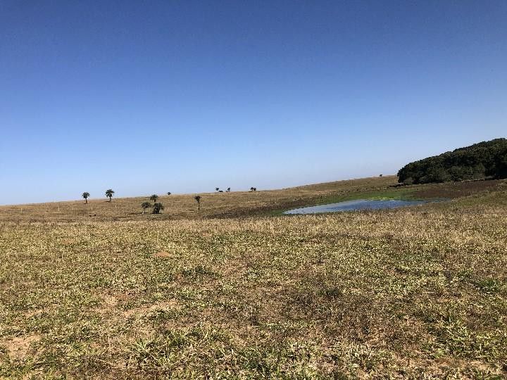 Sítio de 3 ha em Santo Antônio da Patrulha, RS