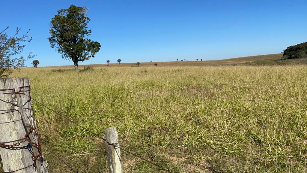 Sítio de 3 ha em Santo Antônio da Patrulha, RS