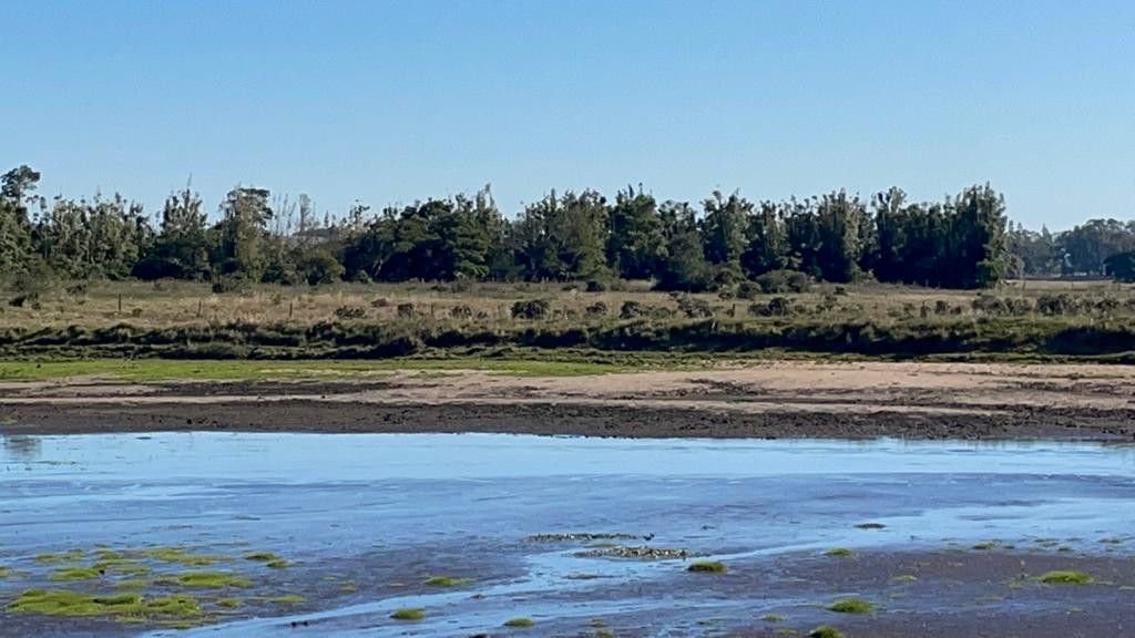 Sítio de 3 ha em Santo Antônio da Patrulha, RS