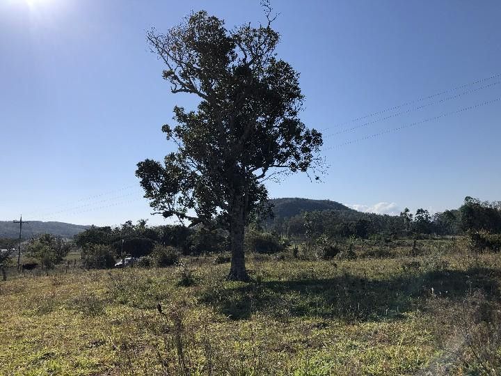 Sítio de 3 ha em Santo Antônio da Patrulha, RS