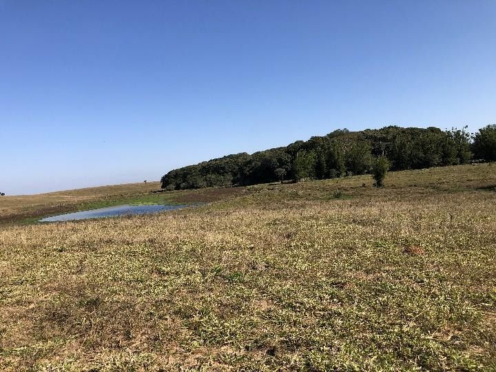 Sítio de 3 ha em Santo Antônio da Patrulha, RS