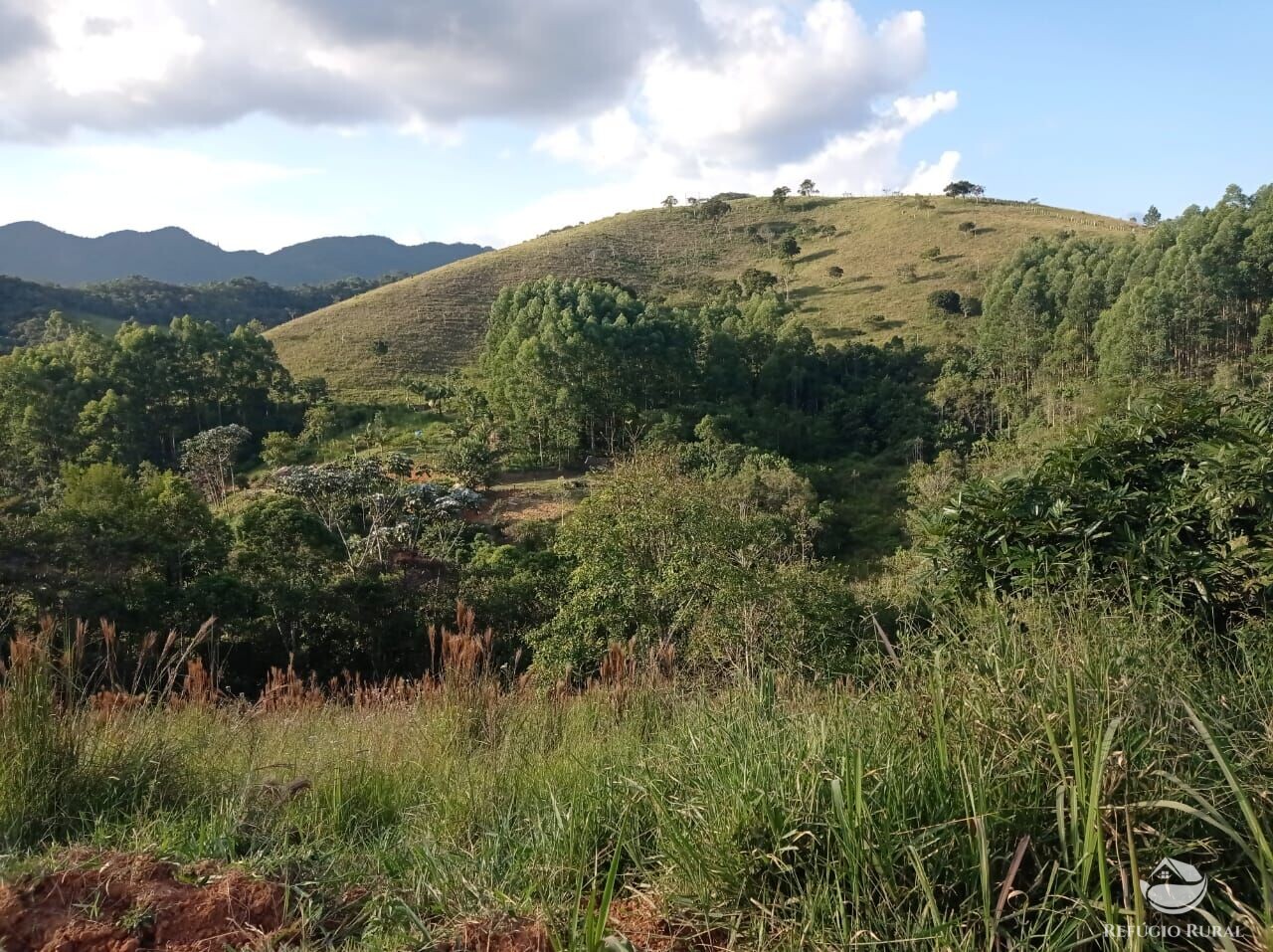 Sítio de 7 ha em São José dos Campos, SP