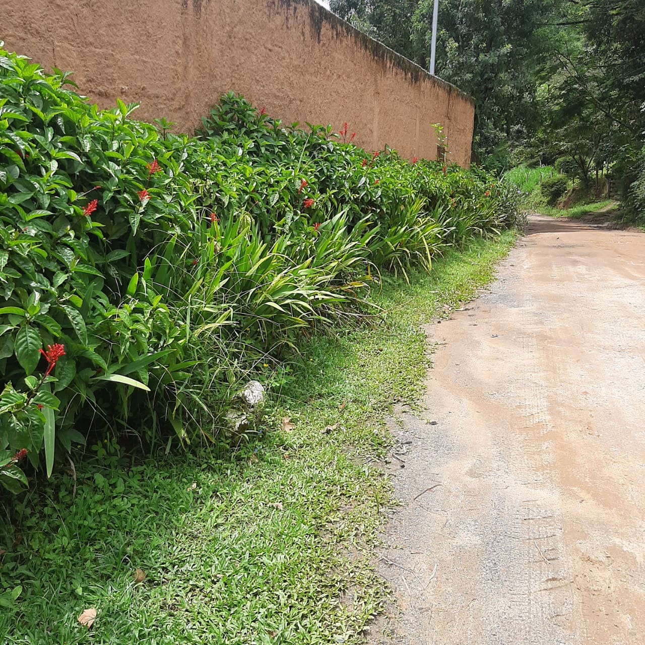 Chácara de 5.000 m² em Sapucaí-Mirim, MG