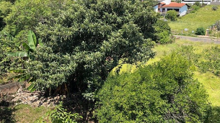 Terreno de 900 m² em Santo Antônio da Patrulha, RS