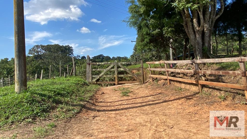 Sítio de 1 ha em Estiva, MG