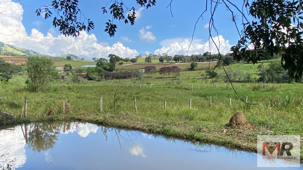 Sítio de 1 ha em Estiva, MG