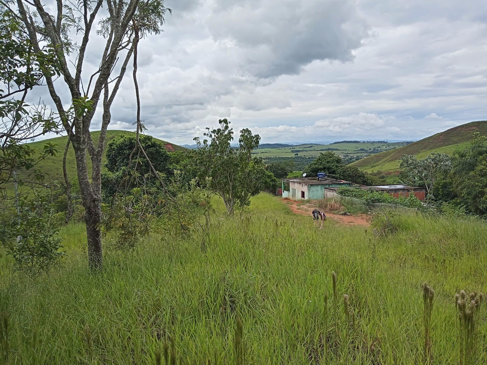 Chácara de 3.600 m² em São José dos Campos, SP