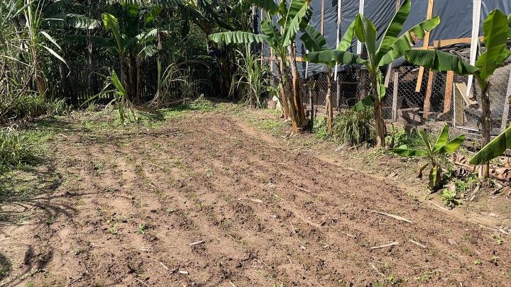 Chácara de 6.300 m² em Rolante, RS