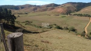 Fazenda de 252 ha em Silveiras, SP