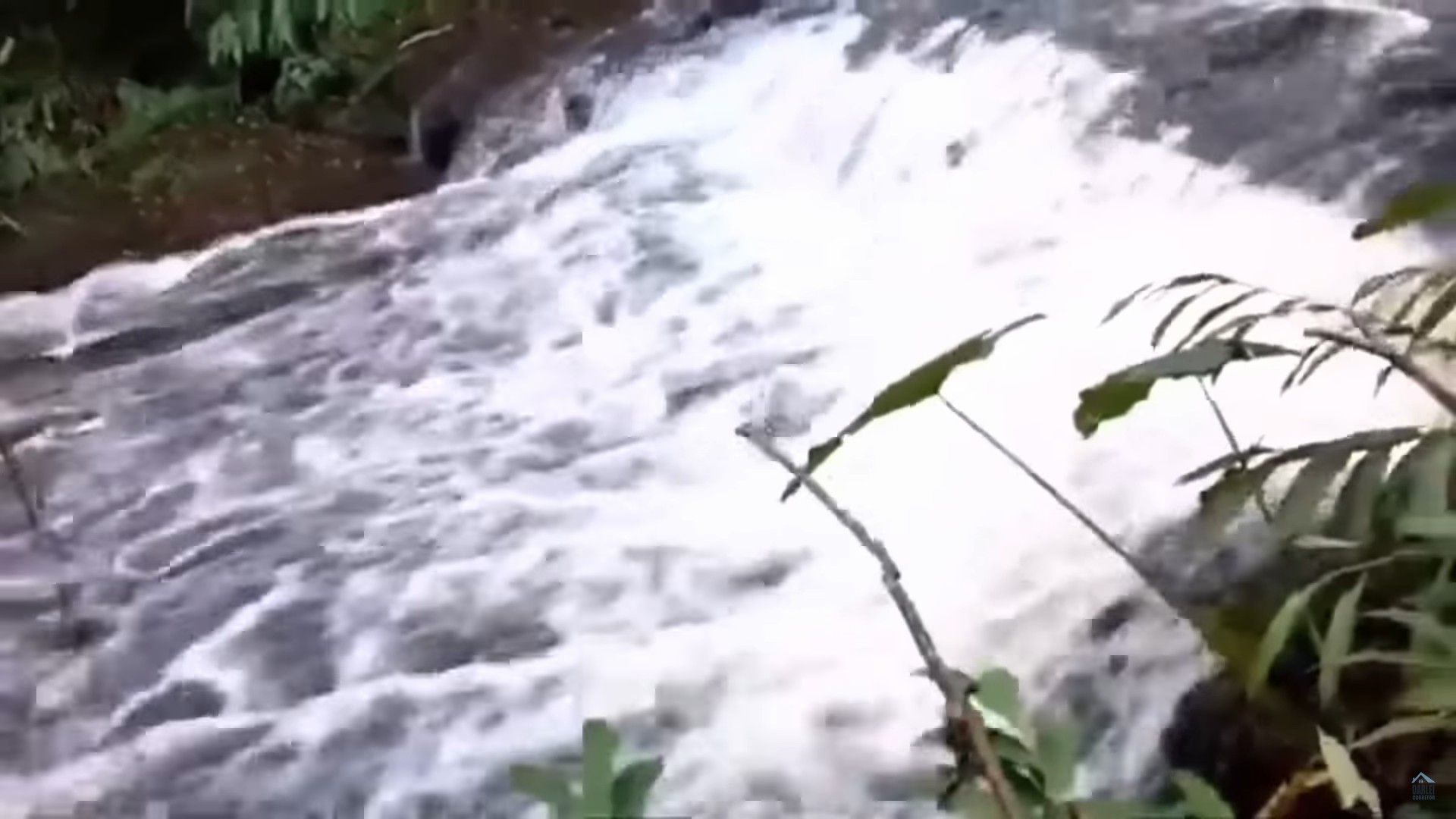 Chácara de 3 ha em Taquara, RS