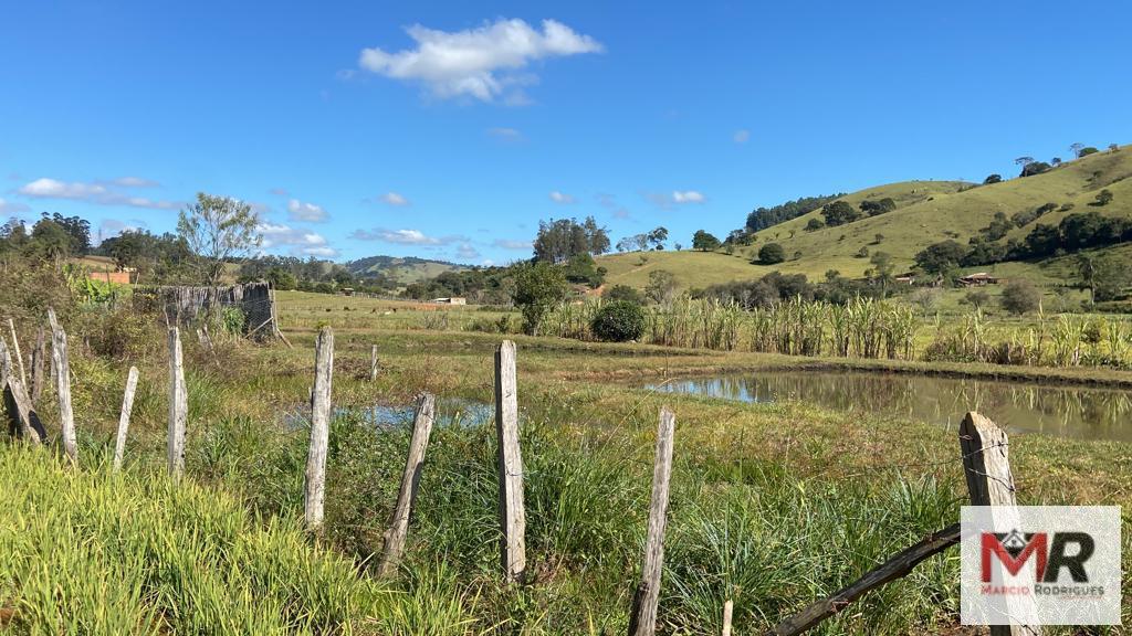 Sítio de 3.600 m² em Borda da Mata, MG