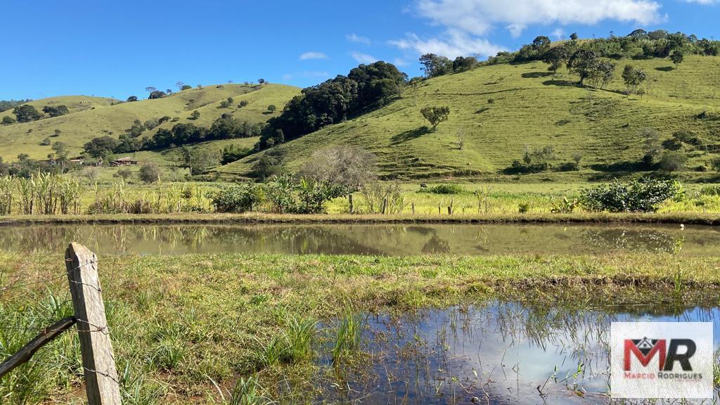 Sítio de 3.600 m² em Borda da Mata, MG