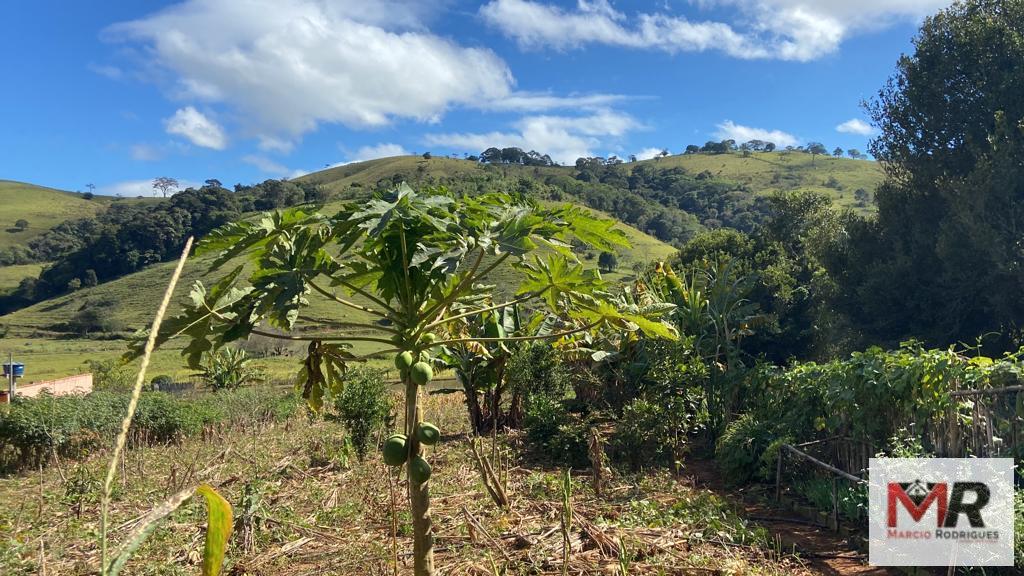 Sítio de 3.600 m² em Borda da Mata, MG