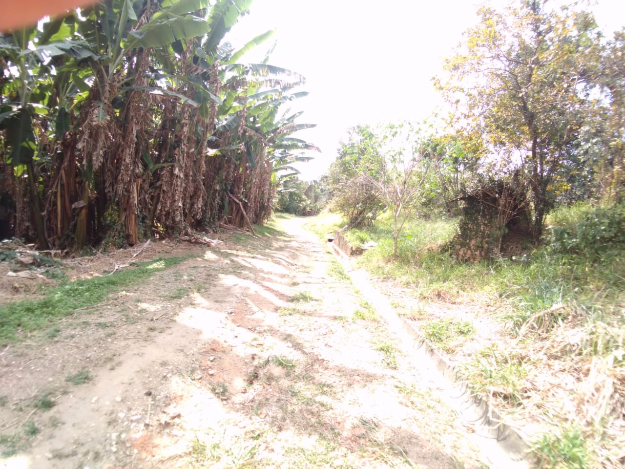 Terreno de 3 ha em Taubaté, SP