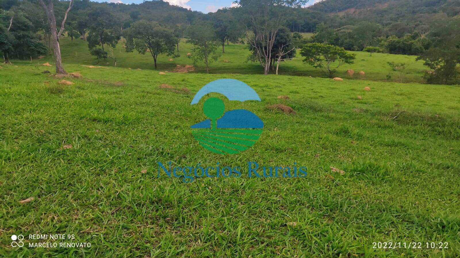 Fazenda de 121 ha em Bela Vista de Goiás, GO