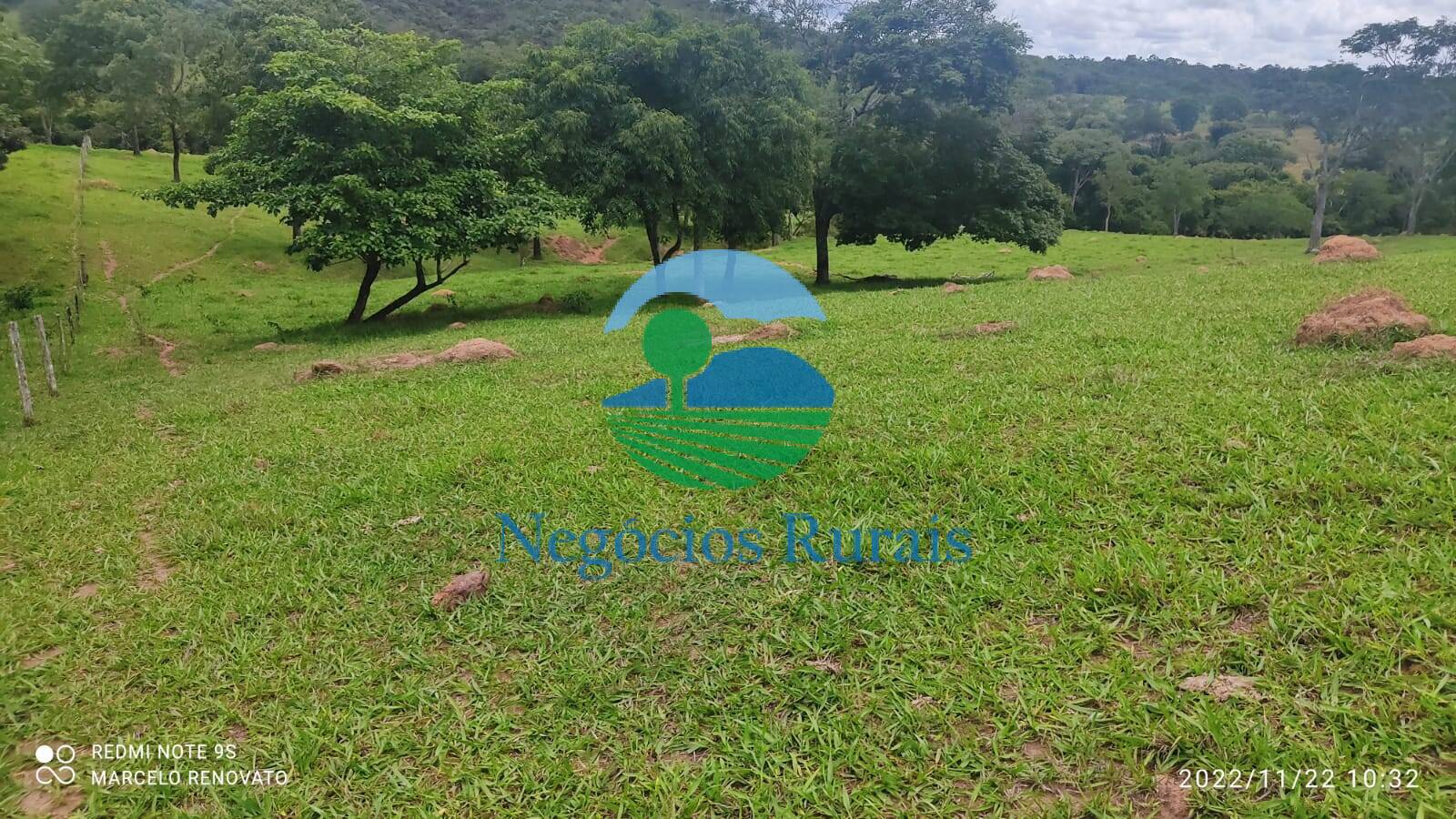 Fazenda de 121 ha em Bela Vista de Goiás, GO