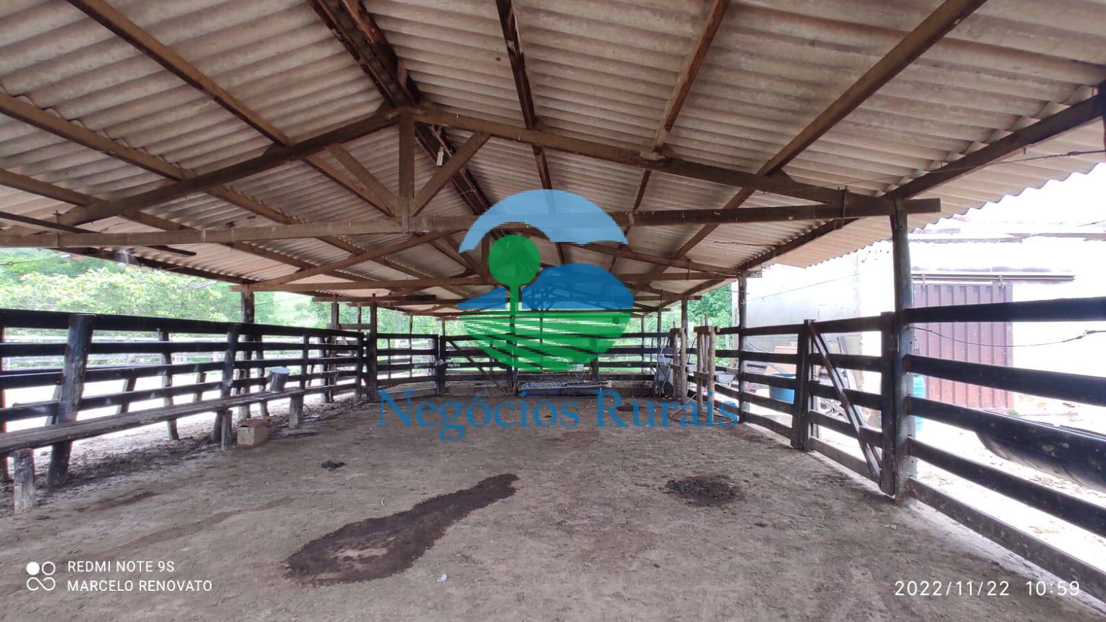 Fazenda de 121 ha em Bela Vista de Goiás, GO