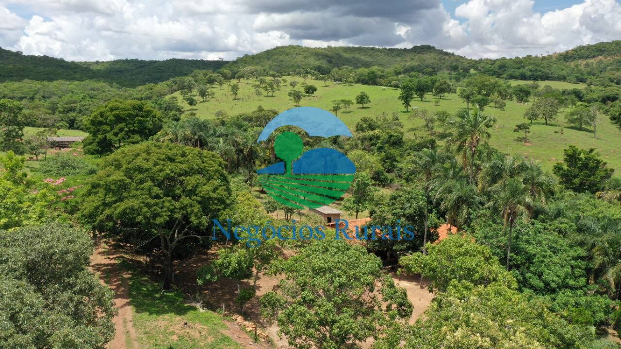 Fazenda de 121 ha em Bela Vista de Goiás, GO