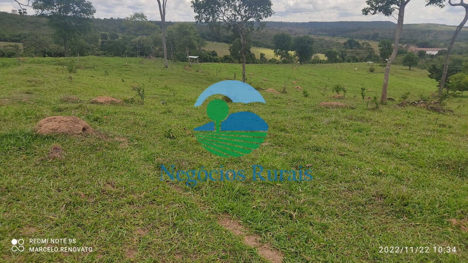 Fazenda de 121 ha em Bela Vista de Goiás, GO