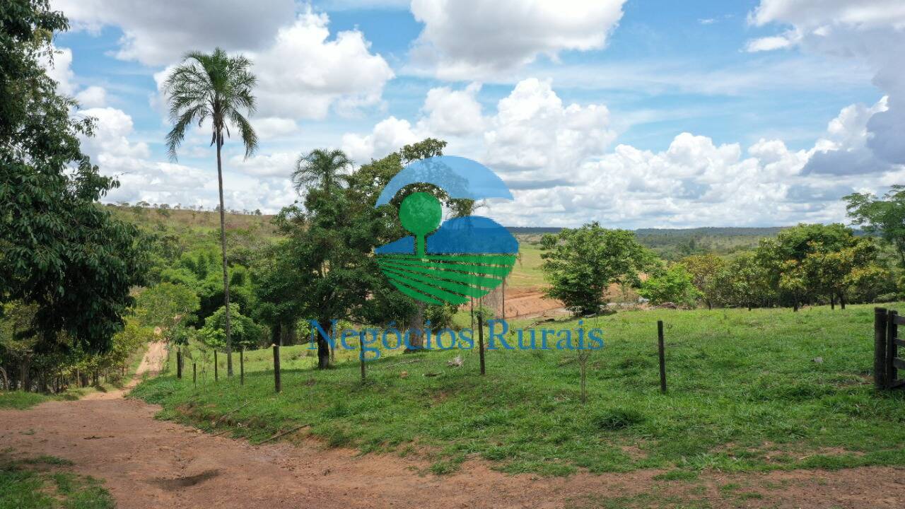 Fazenda de 121 ha em Bela Vista de Goiás, GO