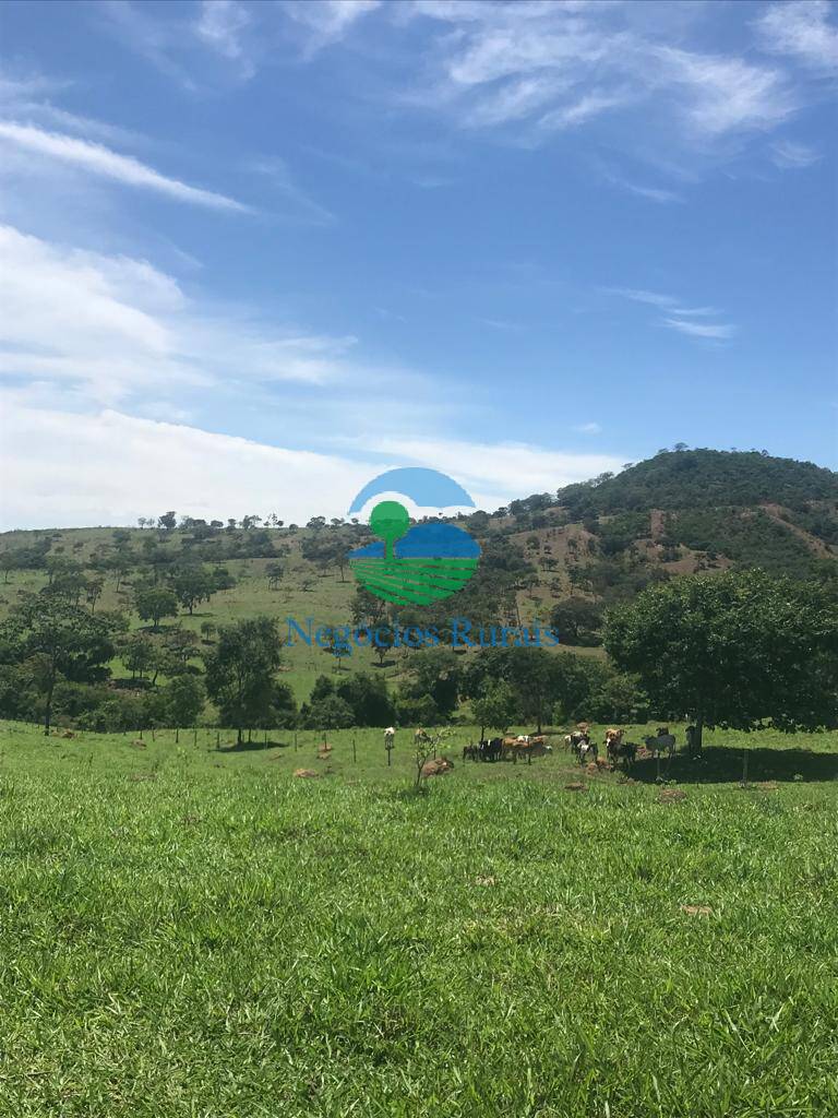 Fazenda de 121 ha em Bela Vista de Goiás, GO