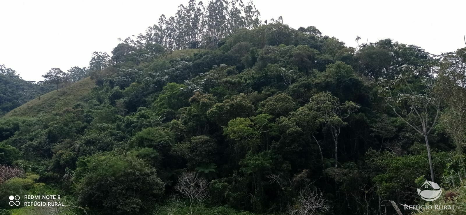 Sítio de 19 ha em Igaratá, SP