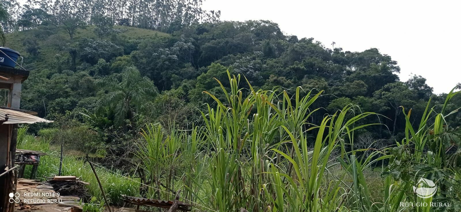 Sítio de 19 ha em Igaratá, SP