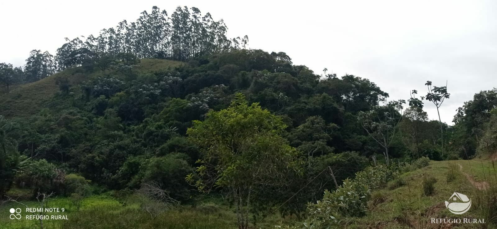 Sítio de 19 ha em Igaratá, SP