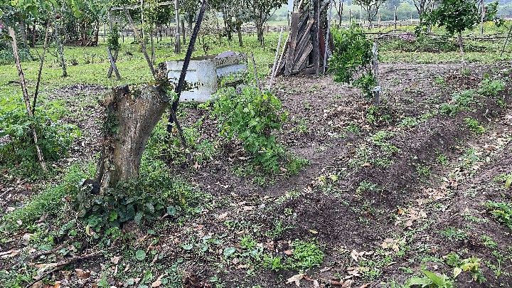 Sítio de 12 ha em Santo Antônio da Patrulha, RS