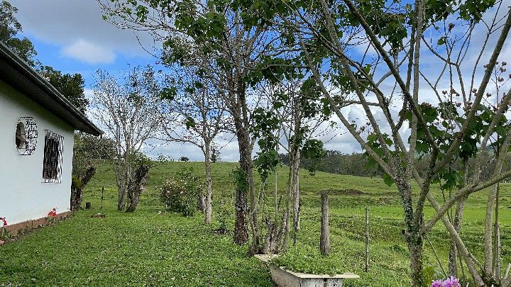 Sítio de 12 ha em Santo Antônio da Patrulha, RS