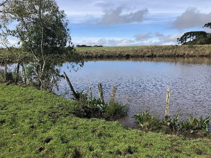 Fazenda de 318 ha em Cambará do Sul, RS