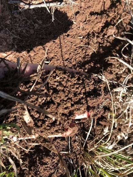 Fazenda de 318 ha em Cambará do Sul, RS