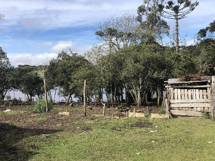 Fazenda de 318 ha em Cambará do Sul, RS